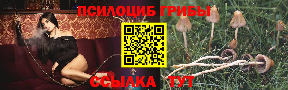 Псилоцибиновые грибы Magic Shrooms Дивногорск