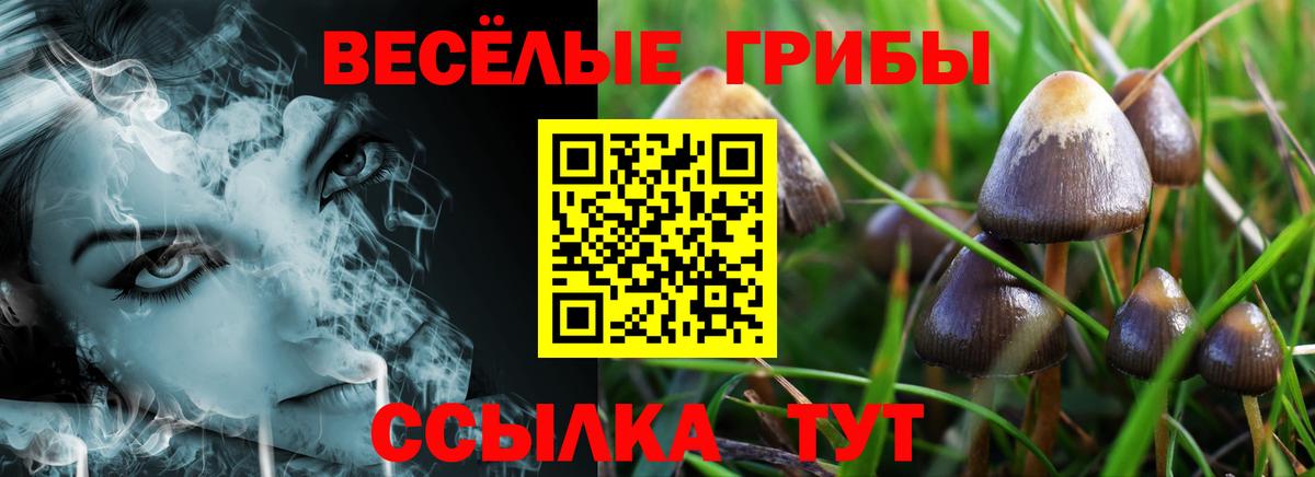 даркнет сайт  Галлюциногенные грибы мицелий  Вход с VPN  Дивногорск 